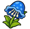 Bluecap Bloom