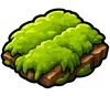 Wild Moss